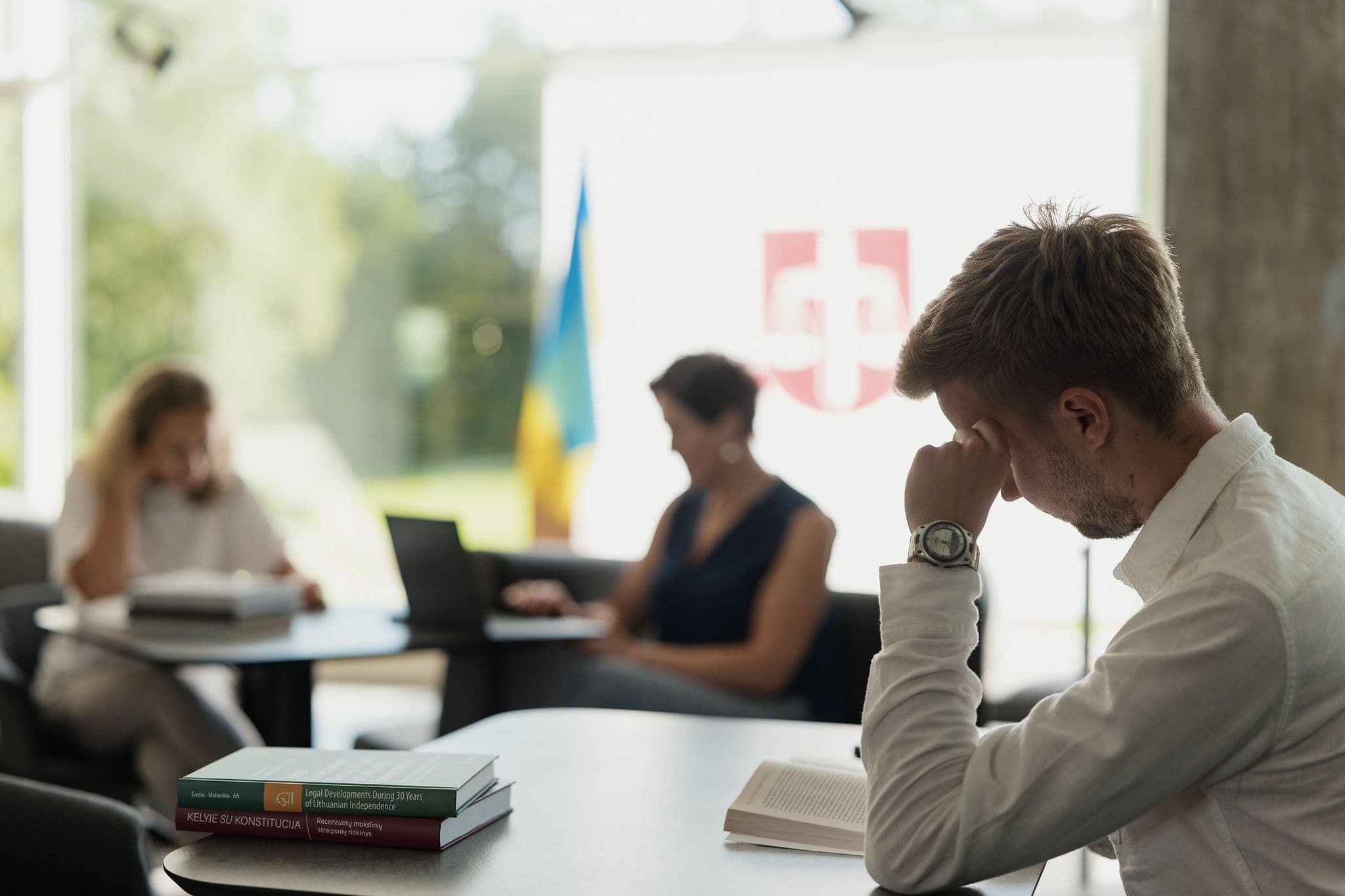 Anrechnung und, Anerkennung auswärtiger Studienleistungen und Fortsetzung des Studiums an der Universität Vilnius